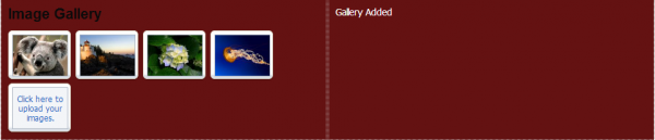 Imagegalleryimg5.PNG